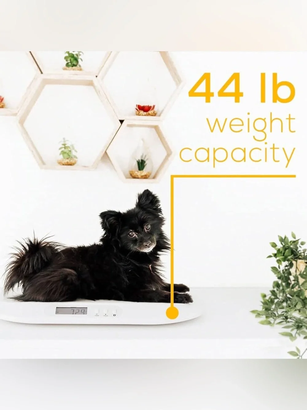 Beurer BY90 Digital Baby & Pet Scale with Bluetooth